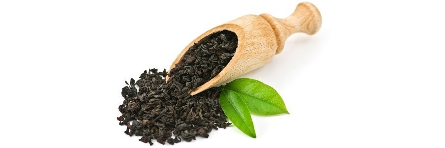 Thé noir Darjeeling - achat, vertus et préparation